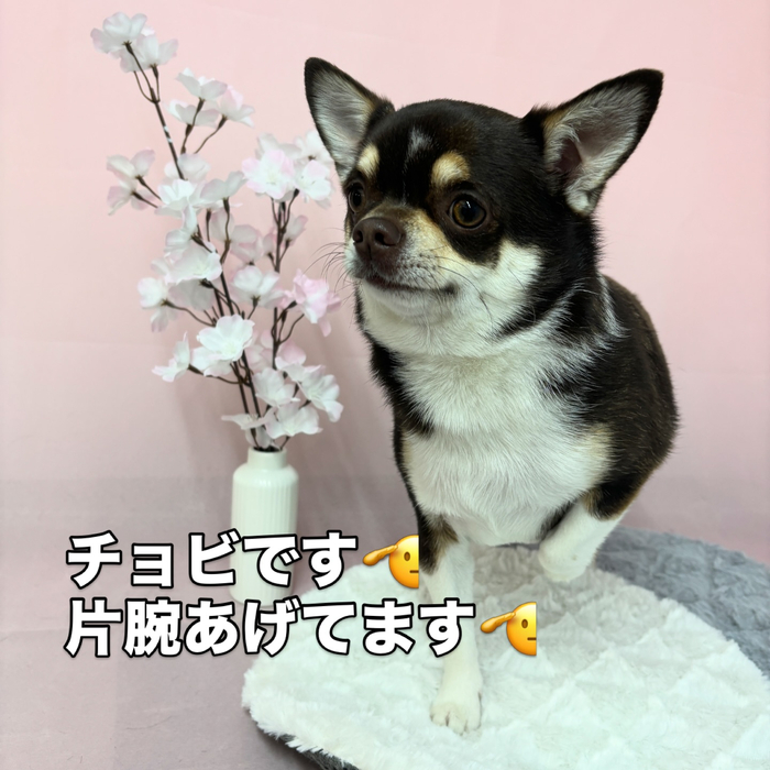 画像2477