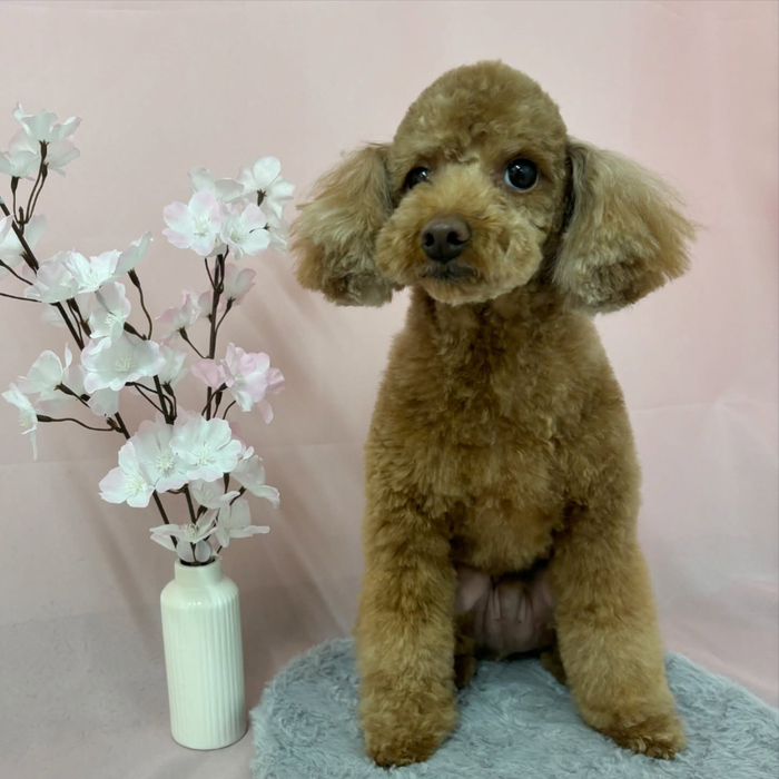 画像2494