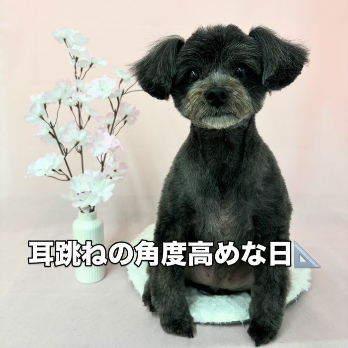 画像2502