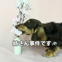 画像2507