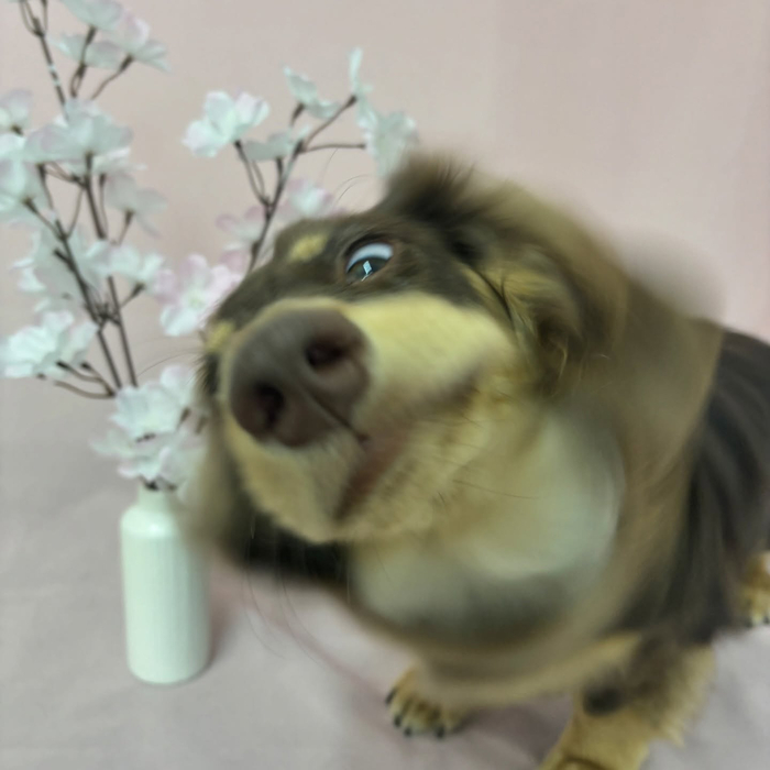 画像2510
