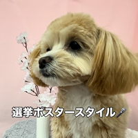画像2514