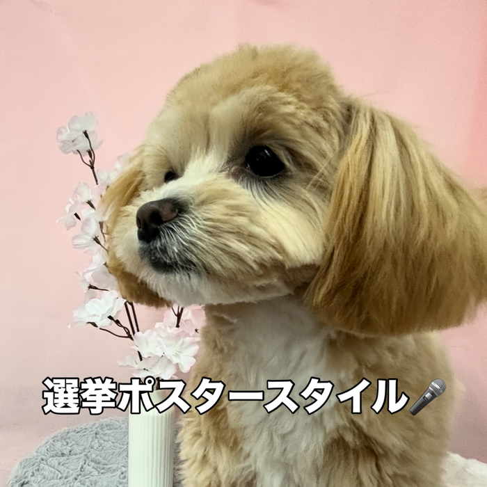 画像2514