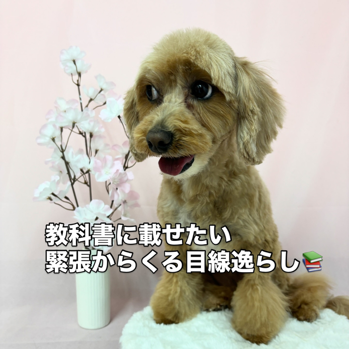 画像2520