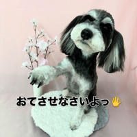 画像2527