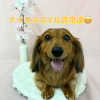 画像2539