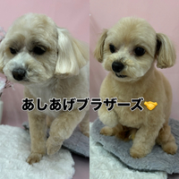 画像2549