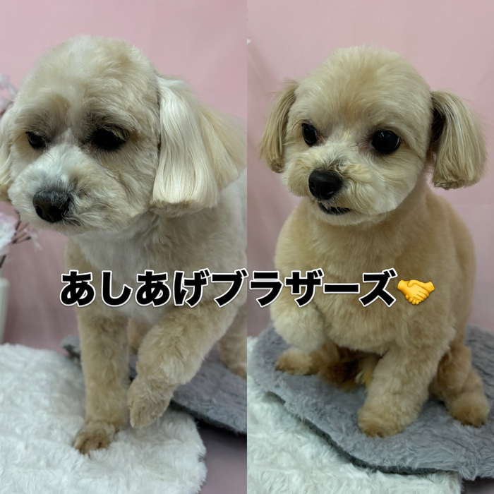 画像2549