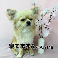 画像2559