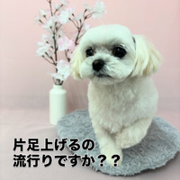 画像2565