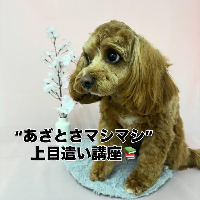 画像2572