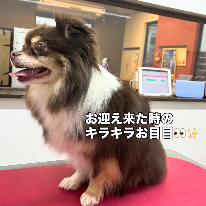画像2579