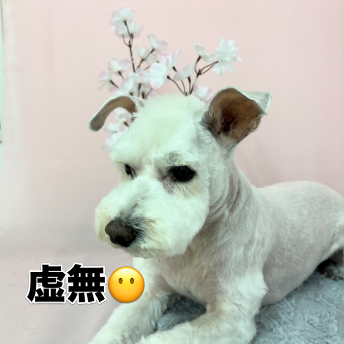 画像2585