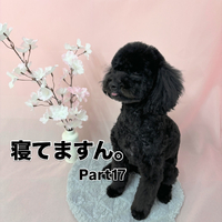 画像2591