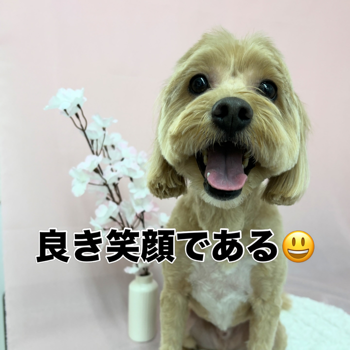 画像2604