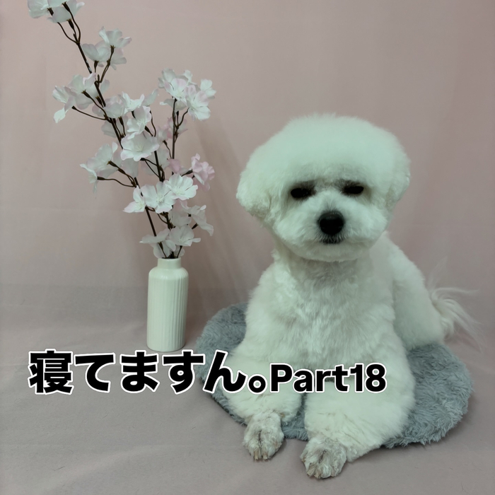 画像2610