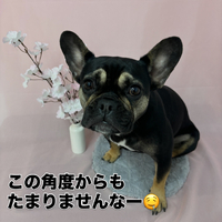 画像2616