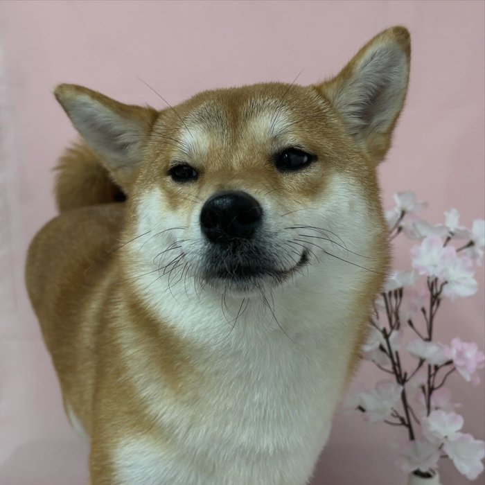 画像2624
