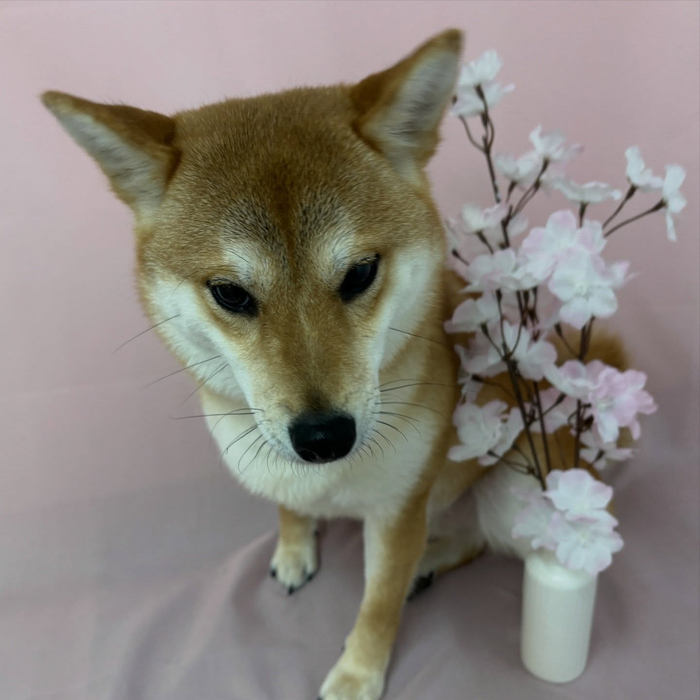 画像2625