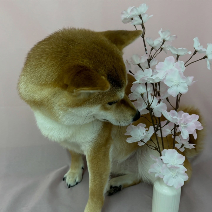 画像2626
