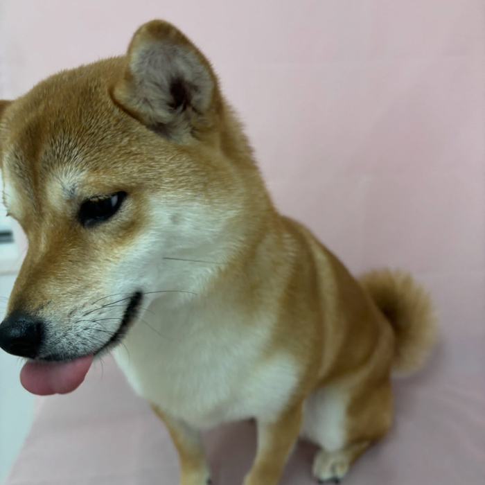画像2627