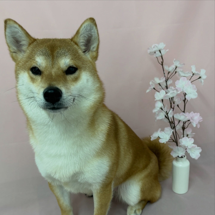 画像2629