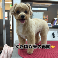 画像2631