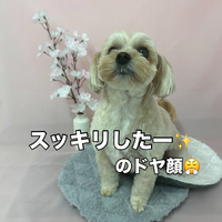 画像2645