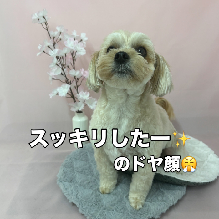画像2645