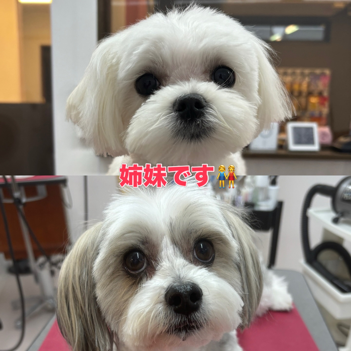 画像2669
