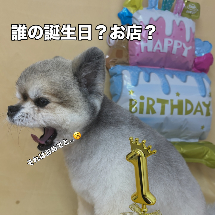 画像2677