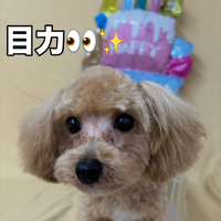 画像2695