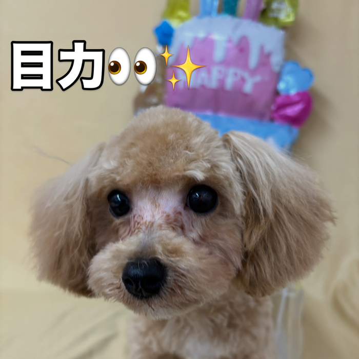 画像2695