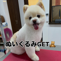 画像2712