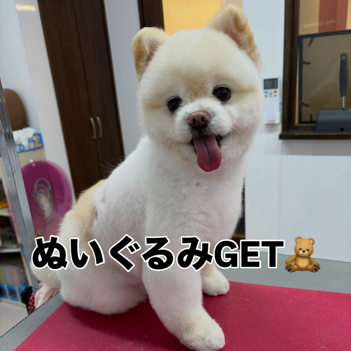 画像2712