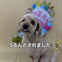 画像2718
