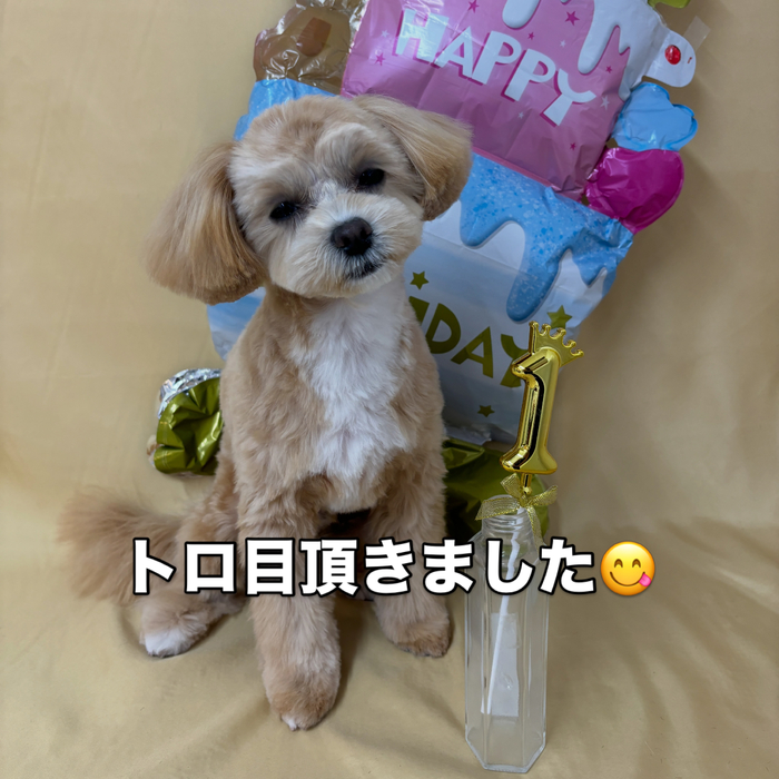 画像2723