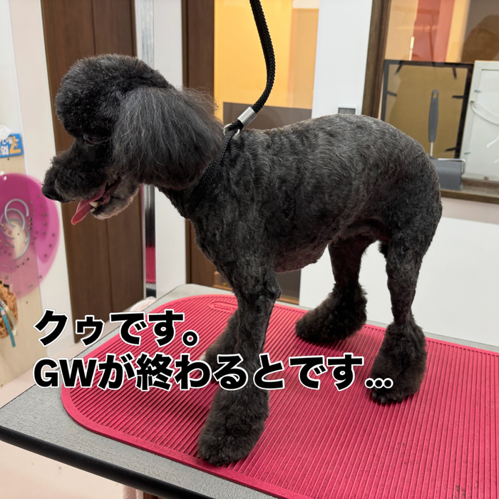 画像2752