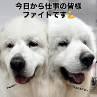 画像2756