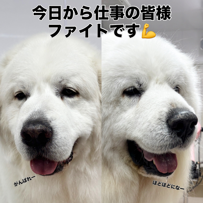 画像2756