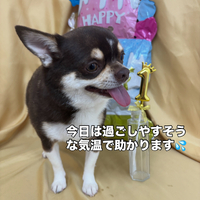 画像2770