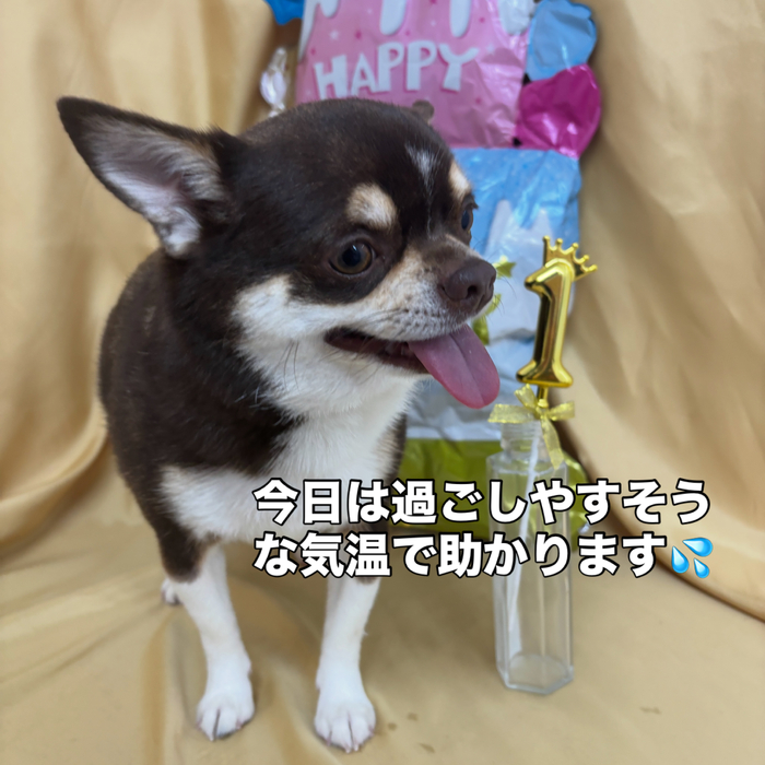 画像2770