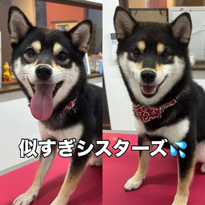画像2776