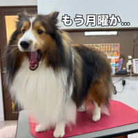 画像2782
