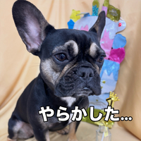 画像2801