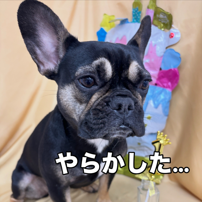 画像2801