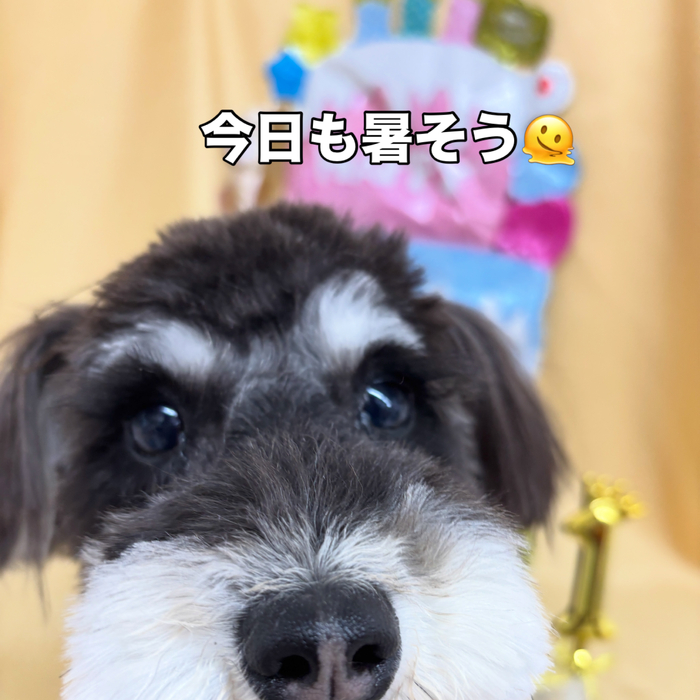 画像2813