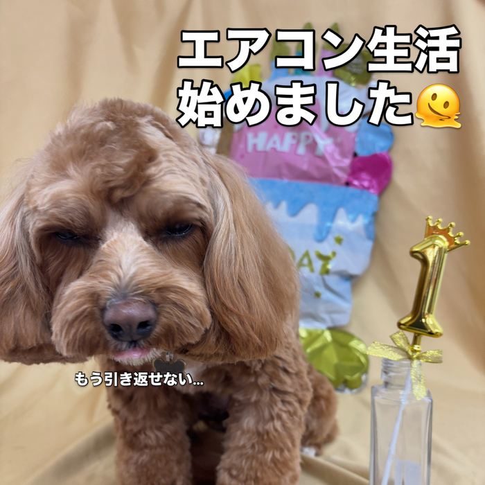 画像2818