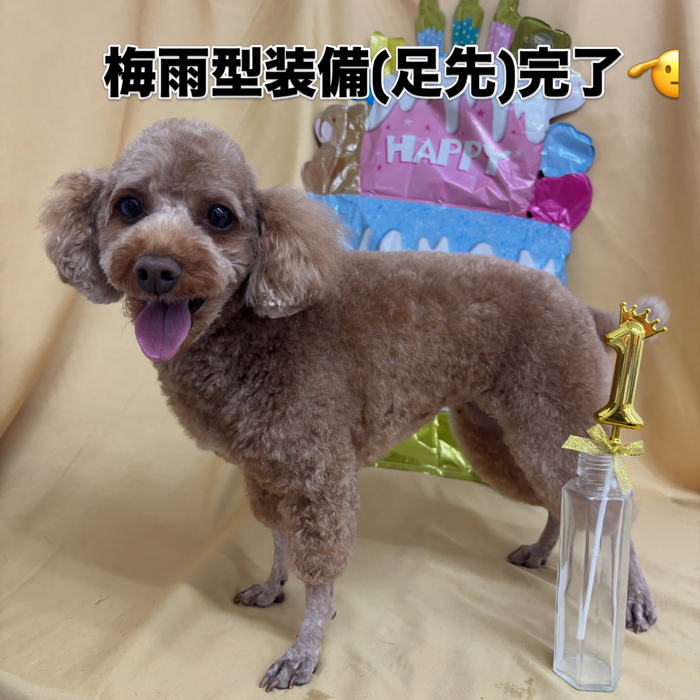 画像2838