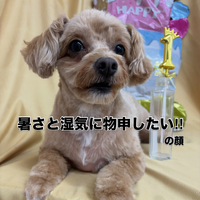 画像2844